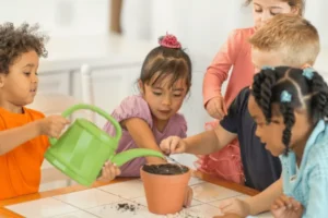 plant activities for preschool png